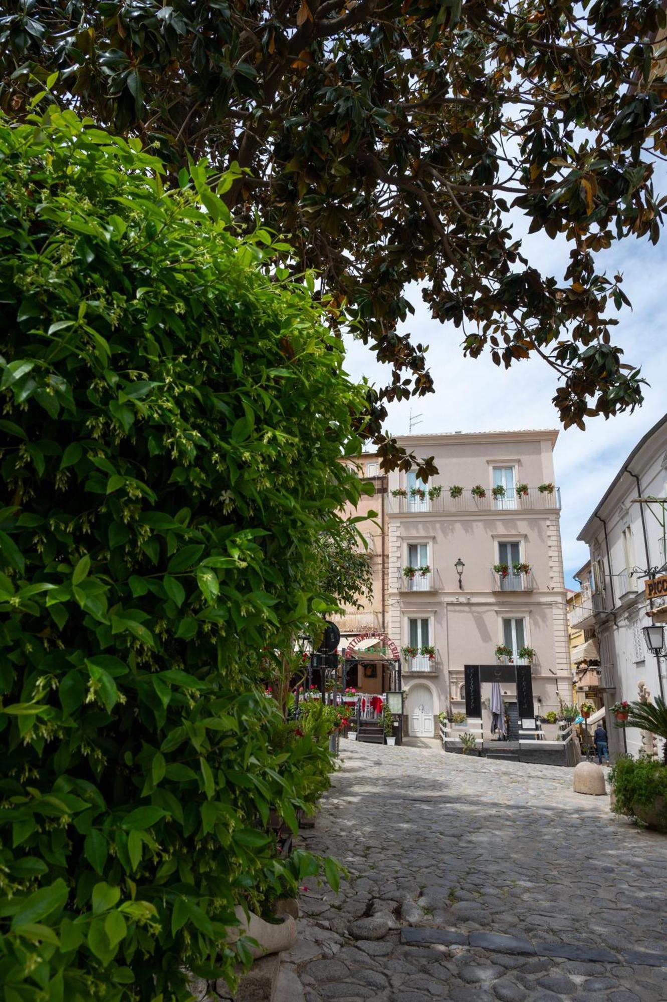 La Divina - Free Parking - Bed and Breakfast Tropea Exteriör bild